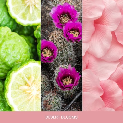 Ароматическая свеча Yankee Candle Signature DESERT BLOOMS большая 567 г