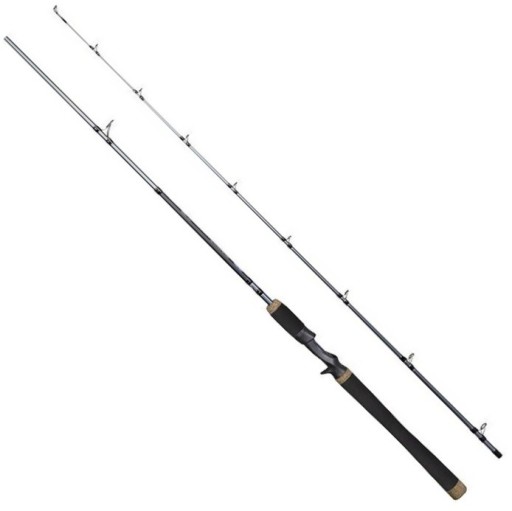 Спиннинг CASTING Dragon Millenium Pikechamp 40-80 г 104 см-198 см