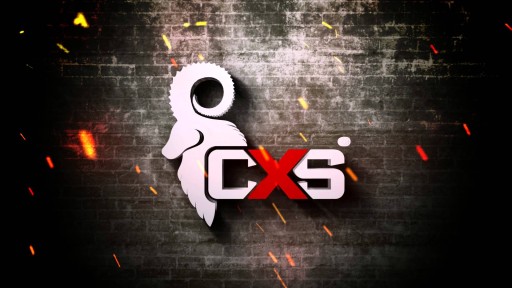 Зимние утепленные рабочие перчатки CXS, размер 11