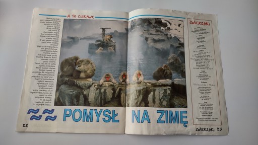 Домашние животные 2 1992