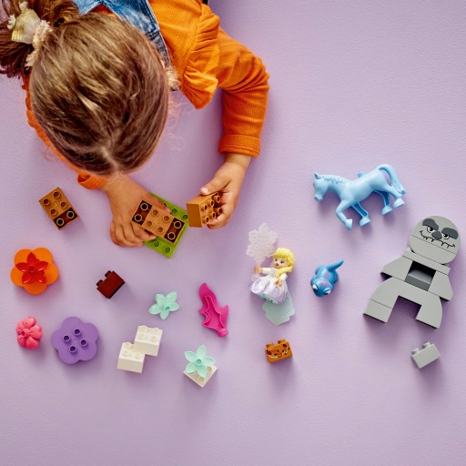 LEGO DUPLO FROZEN (10418) Эльза и Бруни в зачарованном лесу. Кирпичики