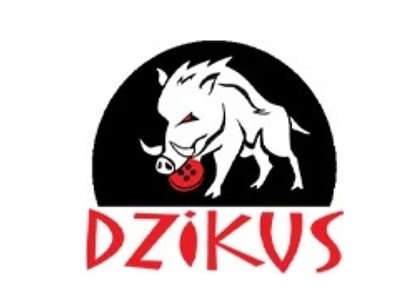 Флизелин серый 40г/м2, 10м, тонкий на клею.