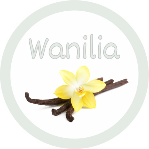 Cukier 0,5kg WANILIA Biały Do Waty Cukrowej 500g Waniliowy Saszetka Suchy