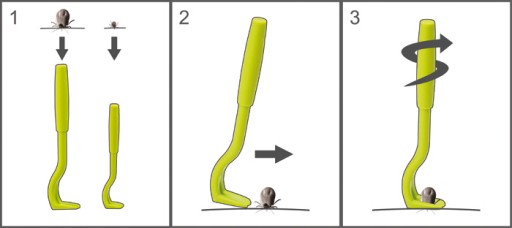 Tick Twister Kleszczołapki 2 szt usuwanie kleszczy