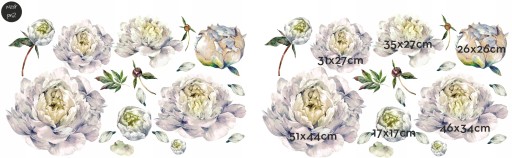 ПИОНЫ цветы ПИОНЫ Наклейки на стену 200x120