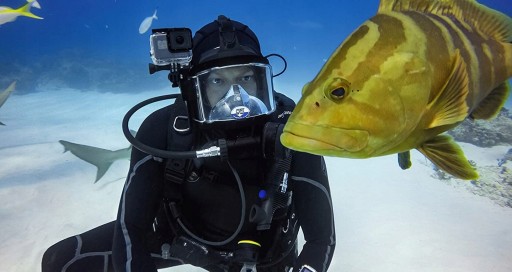GoPro HERO 8 Black AJDIV-001 водонепроницаемый чехол