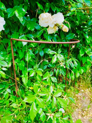 Podpora do krzewów roślin kwiatów pergola 30/50cm podpórki półokrągła