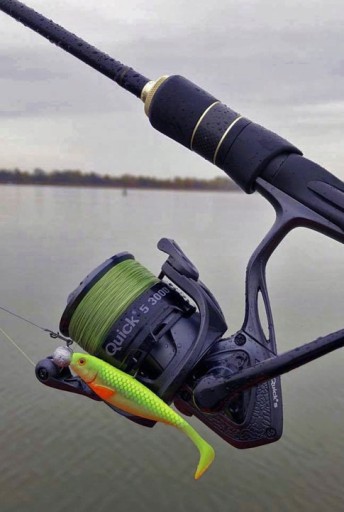 KILLER для щуки DAM Effzett FZ STRIKE SHAD 11 см / 11 г / Golden Shiner