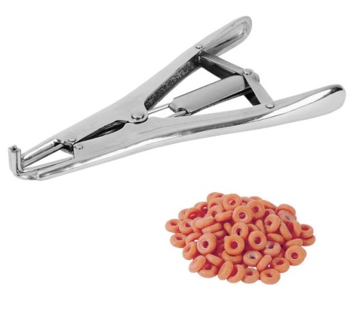 ZESTAW DO KASTRACJI TRZODY ELASTRATOR + 100 GUMEK
