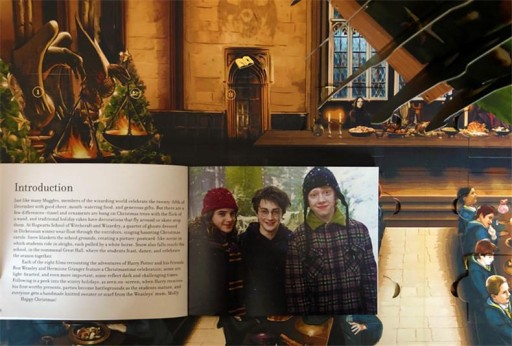 Harry Potter: A Hogwarts Christmas Pop-Up