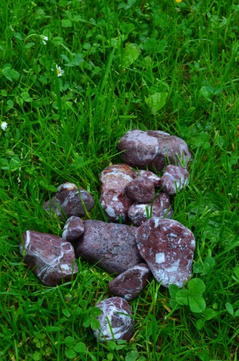 OTOCZAK CZEWRWONY RED DEKORACYJNY 1kg OZDOBNY4-8cm