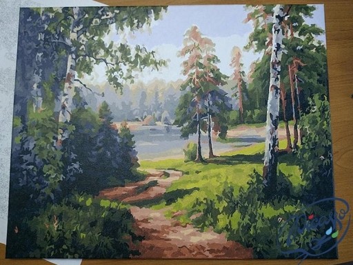 Набор КРАСКА ПО ЦИФРАМ - ИПИКАССО 40x50