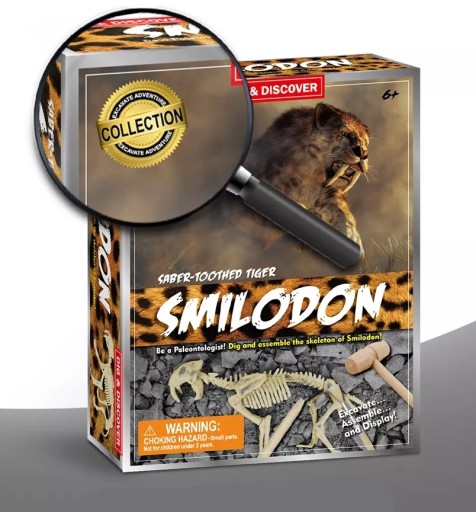 SMILODON DINOZAUR WYKOPALISKO Kreatywna zabawka 3D