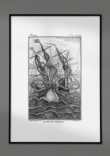 ARGONAUT STARS Карта неба из атласа Иоганна Гевелия 40x30 см