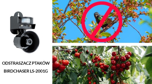 LS-2001G BIRDCHASER отпугиватель птиц со звуком и голубями