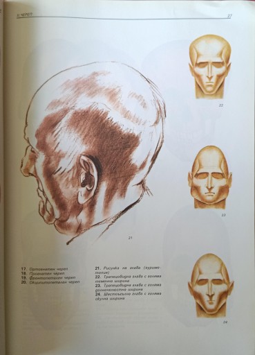 Христо Кирчев, Глава анатомии атласа для художников