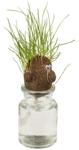 ГОЛОВА С ТРАВОЙ Голова мистера GRASS HEAD - трава