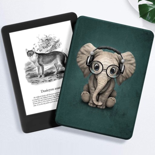 КРЫШКА ДЛЯ KINDLE 11 2022 C2V2L3