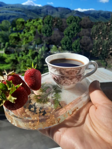 Форма силиконовая ОВАЛЬНАЯ С КОРПУСОМ, литье гипсовой смолы.