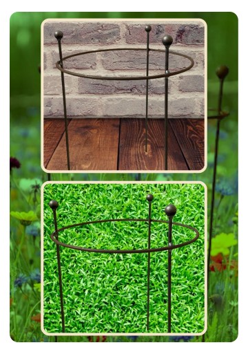 Podpórki Podpora do roślin krzewów kwiatów róż hortensji piwonii D35H55cm