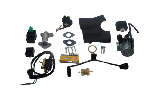 ДВИГАТЕЛЬ 1+1 ATV QUAD 125 PHYTON TAO MOTOR LONCIN