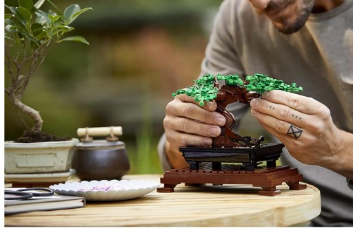 Набор LEGO Bricks «Дерево БОНСАЙ» (10281) + садовые инструменты для бонсай