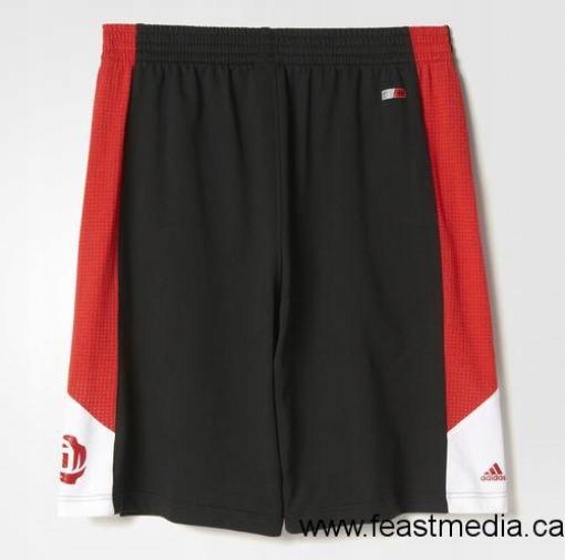 Шорты Adidas NBA Derrick Rose AX7843
