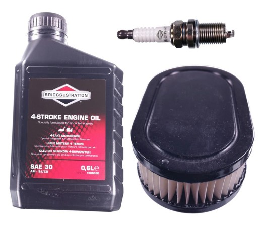 Масло для газонокосилок BRIGGS & STRATTON 0,6л.