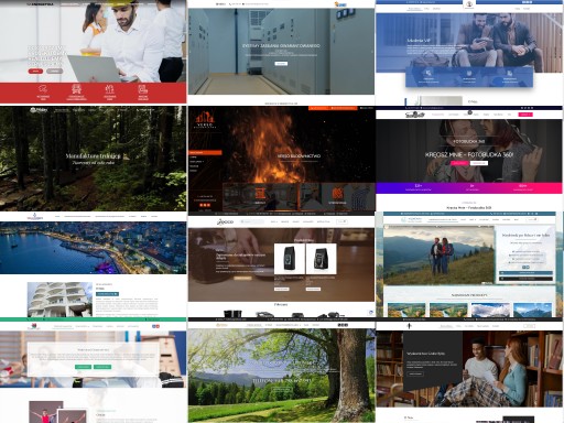 STRONA INTERNETOWA WWW ONEPAGE | RESPONSYWNA | DOMENA, HOSTING, SSL, CMS
