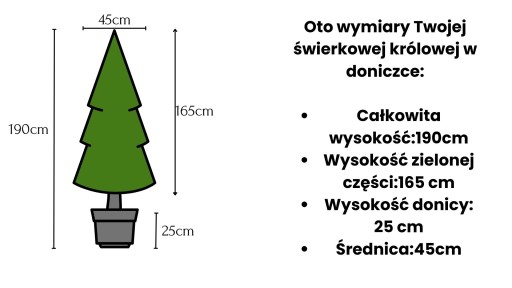 Ель Закопане SLIM Рождественская елка в горшке 190см НОВИНКА 2023 ГОДА!