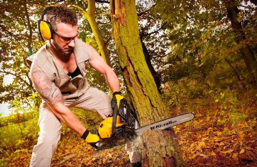 Бензопила Riwall МОЩНОСТЬ 4500 Вт / 8 л.с. Riwall 5040 Set POWERFUL