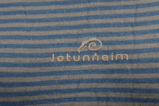 Футболка Jotunneim, шерсть мериноса L Термобелье Jotunneim