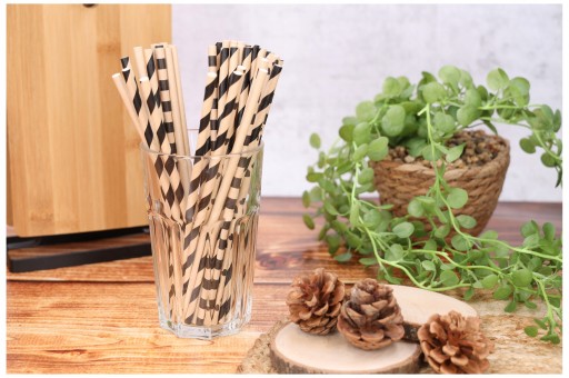 PAPER STRAWS набор из 100 экологических бумажных трубочек для вечеринки