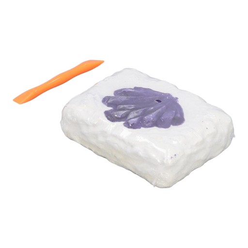Набор для рытья камня с долотами, 18 шт., коллекция камней JQ Toys