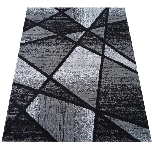 Modny Dywan Canvas Soho 200X290 06
