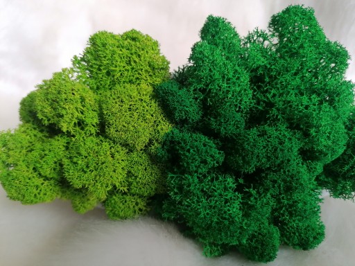 Картина с мхом мхом, шестигранник