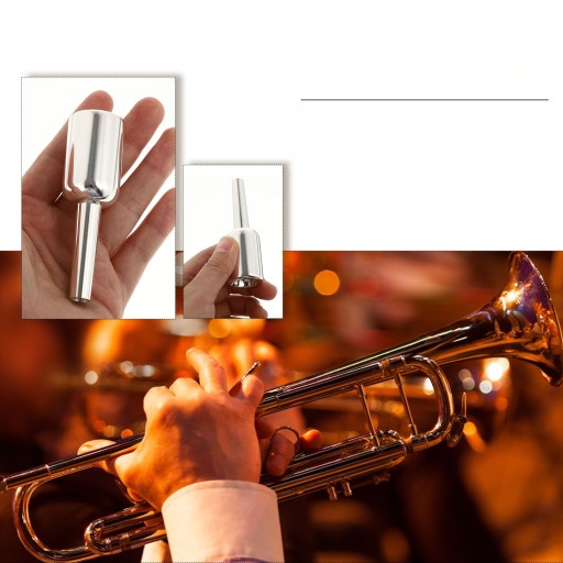 INSTRUMENTY MUZYCZNE USTNIK TRĄBKI 5C