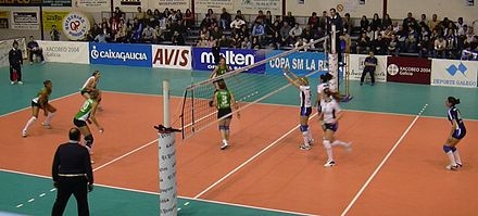 SIATKA DO SIATKÓWKI PROFESJONALNA MECZOWA MOCNA 9,50 x 1M PP4 + ANTENKI