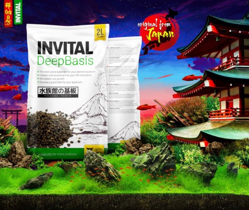 INVITAL DeepBasis 2л питательный субстрат под гравий