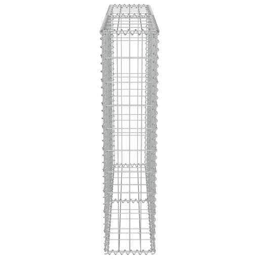 Габионная стена с крышками оцинкованная сталь 100x20x100 см