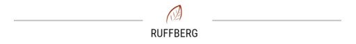 Диктофон Ruffberg N28
