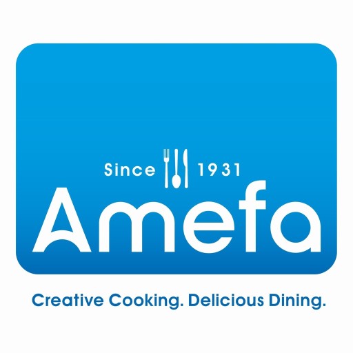 НАБОР СТОЛОВЫХ ПРИБОРОВ AMEFA DAKOTA 12 ВИЛОК + 24 ШПАТЕЛИ В ПОДАРОК