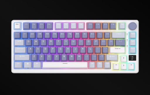 BEZPRZEWODOWA KLAWIATURA MECHANICZNA ROYAL KLUDGE RKM75 RGB SILVER SWITCH