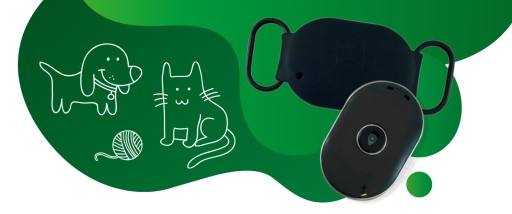 CALMEAN PetTracker Mini + GPS-ошейник L/XL для собак