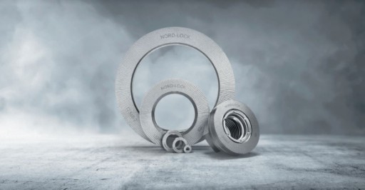 Шайба самоконтрящаяся Nord Lock M20 DP
