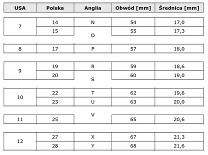 CZARNA OBRĄCZKA SYGNET PIERŚCIEŃ PIERŚCIONEK ZNAK ZODIAKU LEW R17
