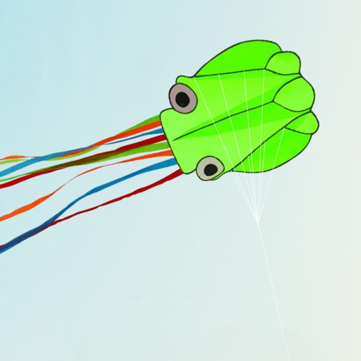 Надувной аттракцион Octopus Kite Octopus Green