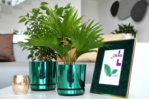 12 Цветочный горшок DUO GREEN, блестящее ЗОЛОТОЕ основание.