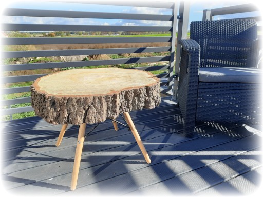 Plaster DĘBOWY dąb średnica 45 cm