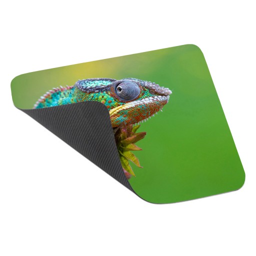 Коврик для мыши WILD ANIMALS CHAMELEON